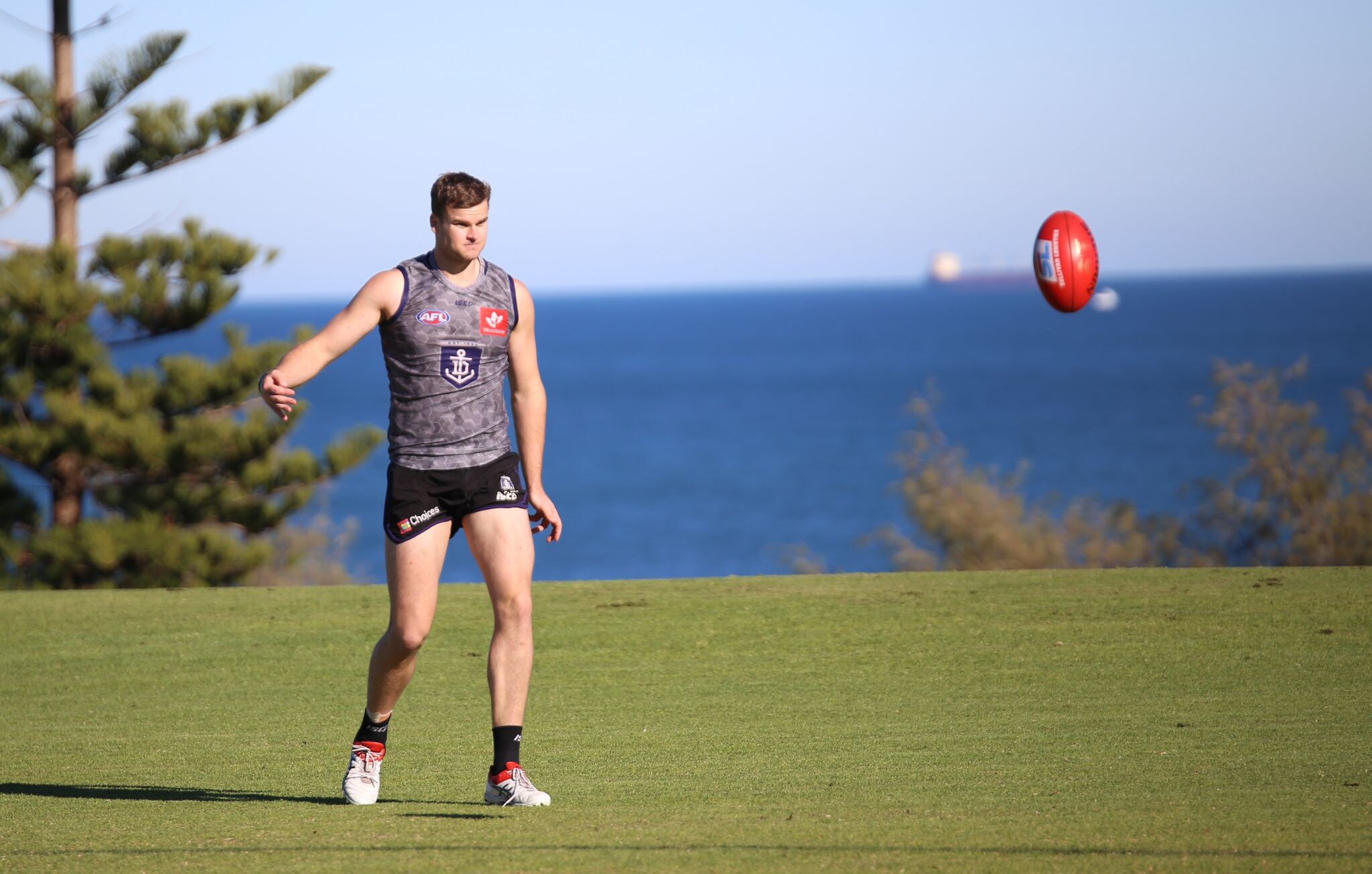 Darcy-Web.jpg Sean Darcy was managed for the RAC derby and will look to return in round 17. - Fremantle,Fremantle Dockers,AFL,Hawthorn,In the Mix